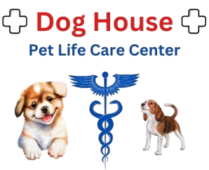 Dog Clinic (Pet Lifecare Center)